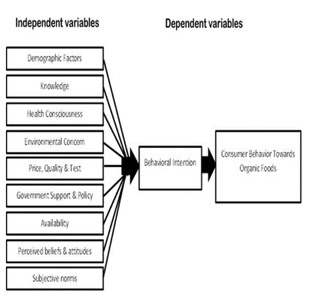 Figure 2: Conceptual Model